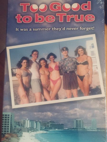 Angie Janu's movie poster Too Good To Be True